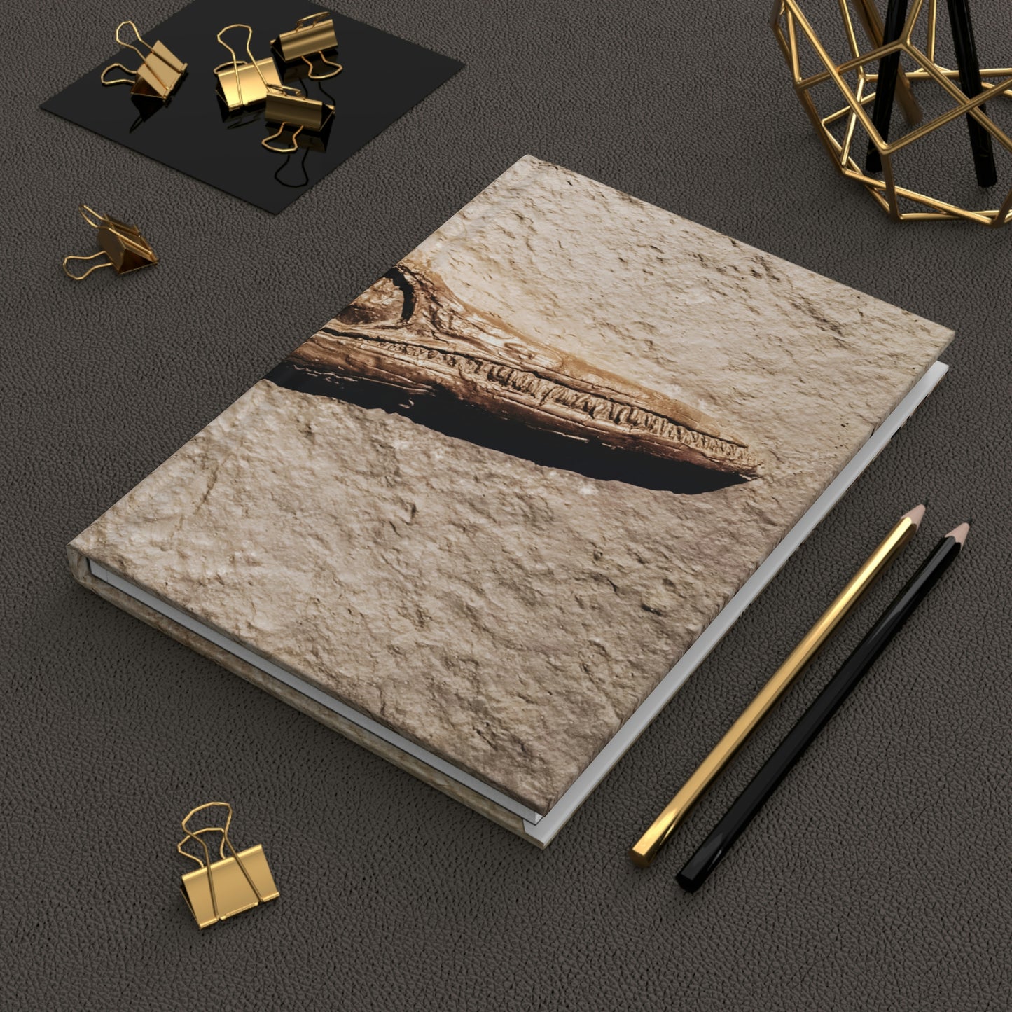 Fossil Mystery Notebook Book Hardcover Journal Matte