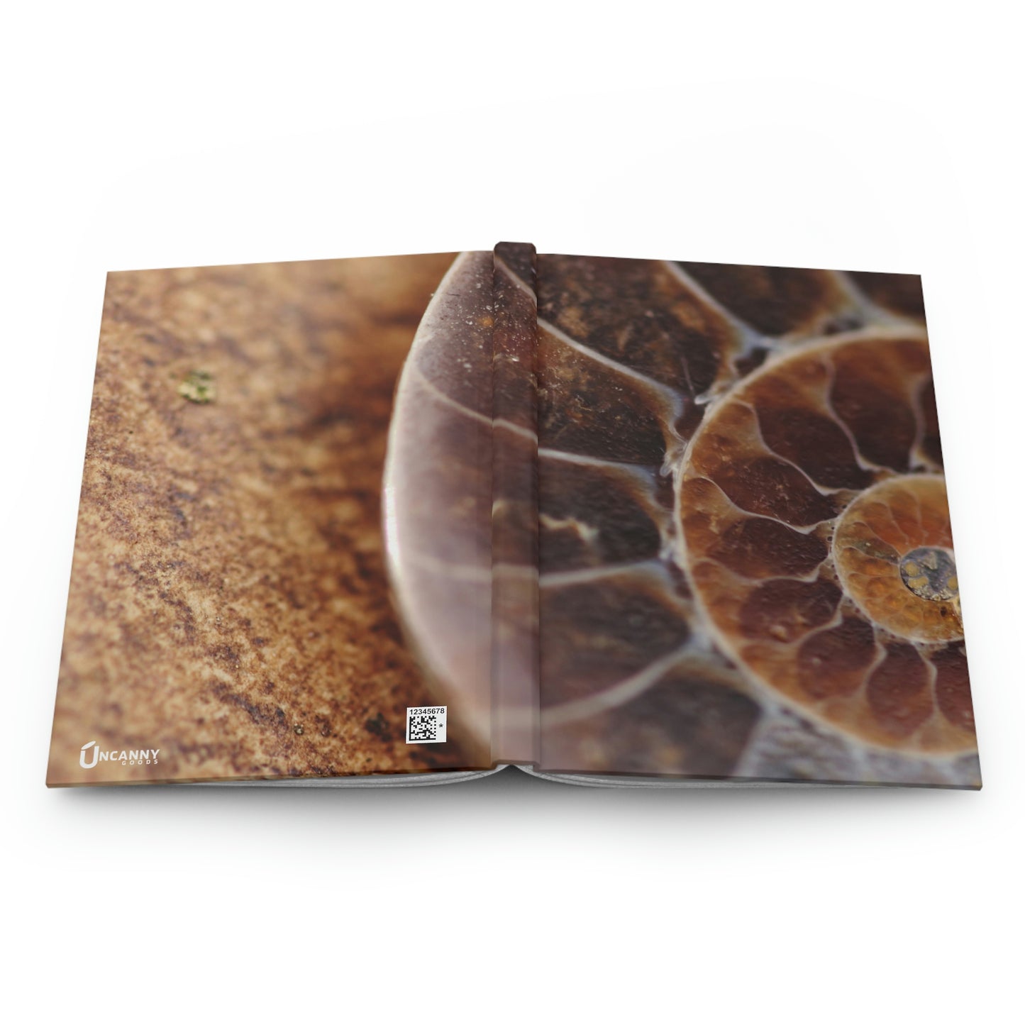 Shell Fossil Notebook Book Hardcover Journal Matte