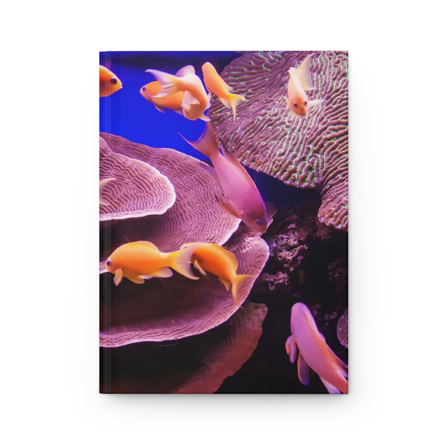 Coral Reef Notebook Book Hardcover Journal Matte