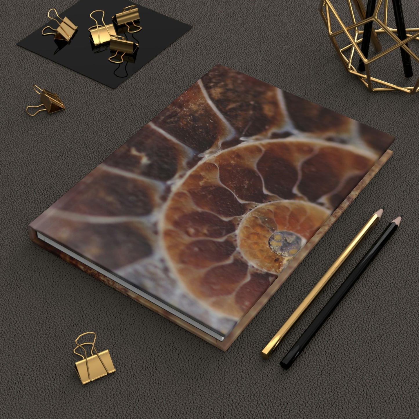 Shell Fossil Notebook Book Hardcover Journal Matte