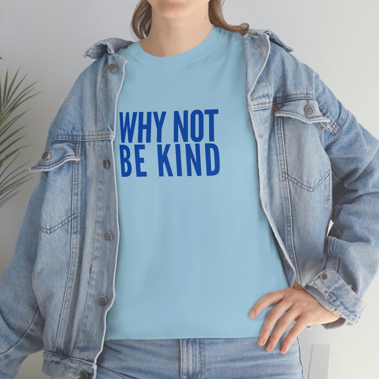 Why Not Be Kind (Light) Unisex Cotton T-shirt