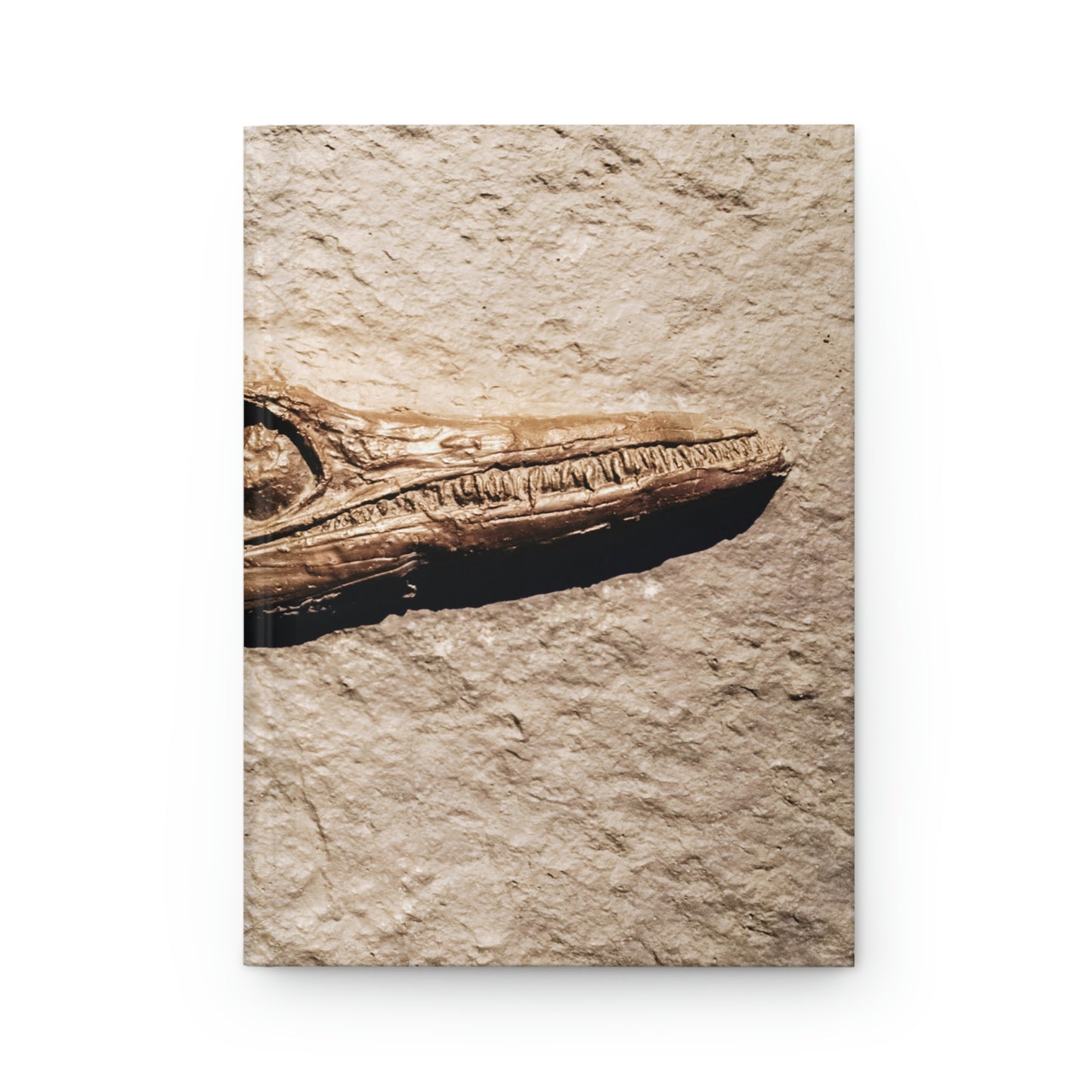 Fossil Mystery Notebook Book Hardcover Journal Matte