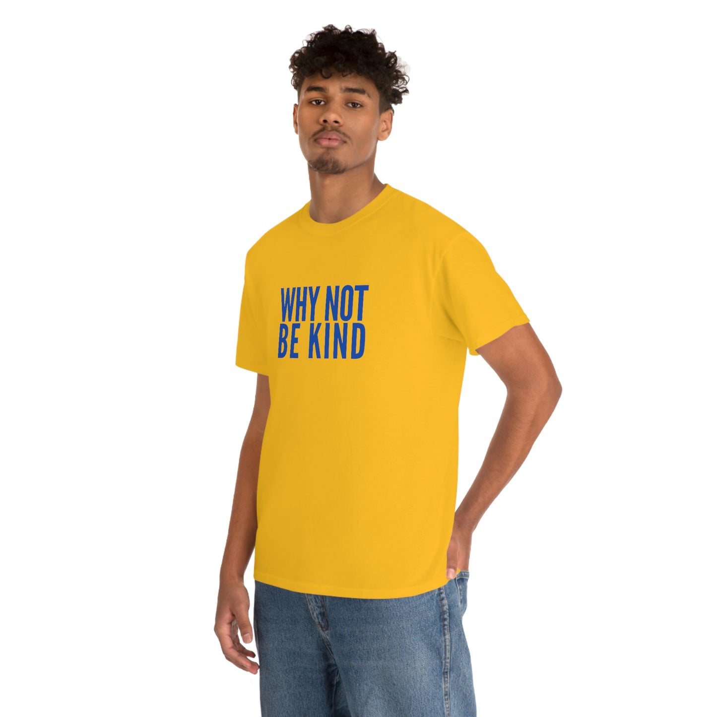 Why Not Be Kind (Light) Unisex Cotton T-shirt