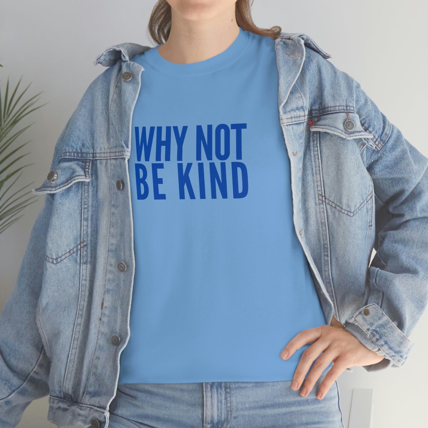 Why Not Be Kind (Light) Unisex Cotton T-shirt