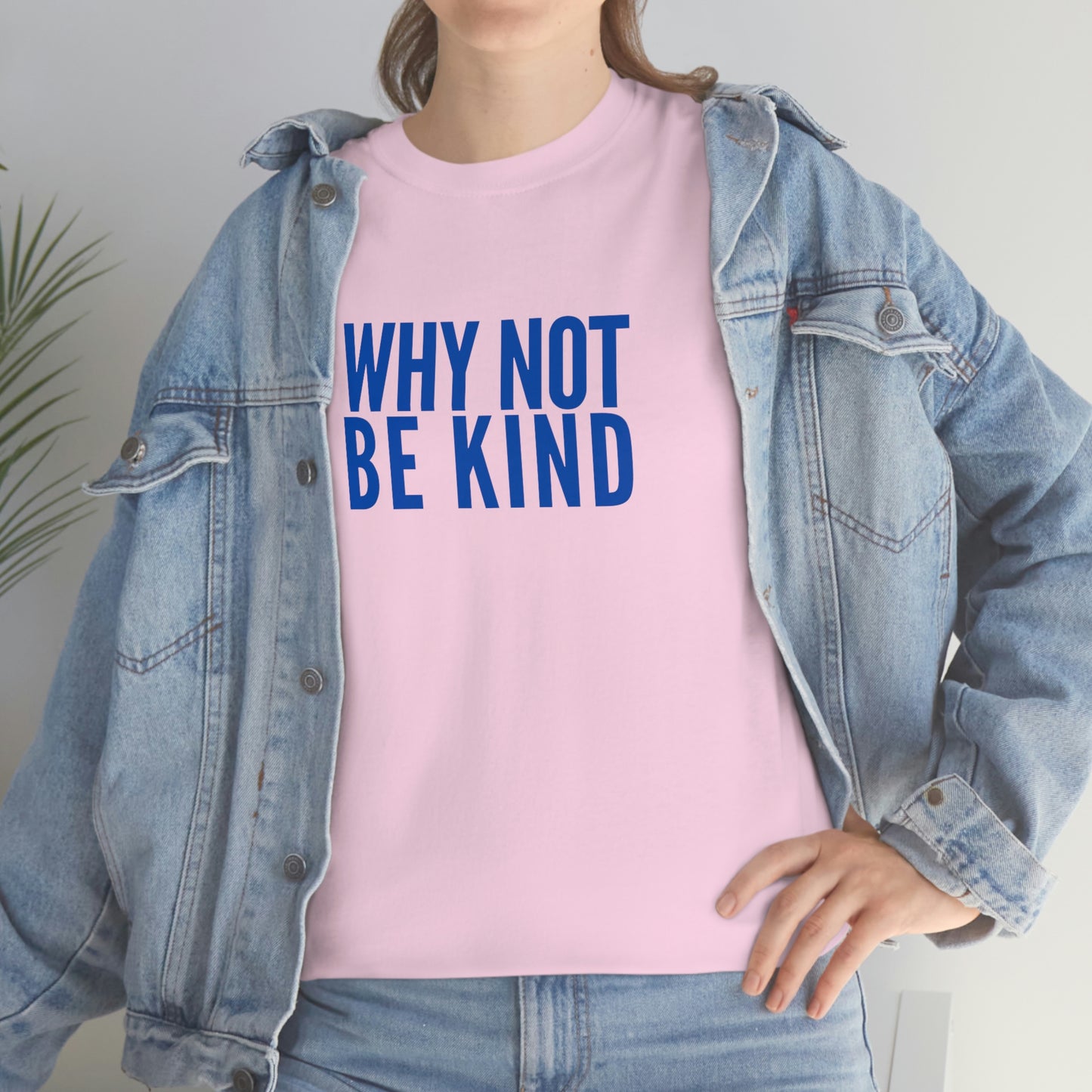 Why Not Be Kind (Light) Unisex Cotton T-shirt